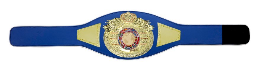 *NEW* PROICON CHAMPIONSHIP BELT/G/WHTGEM - AVAILABLE IN 6+ COLOURS